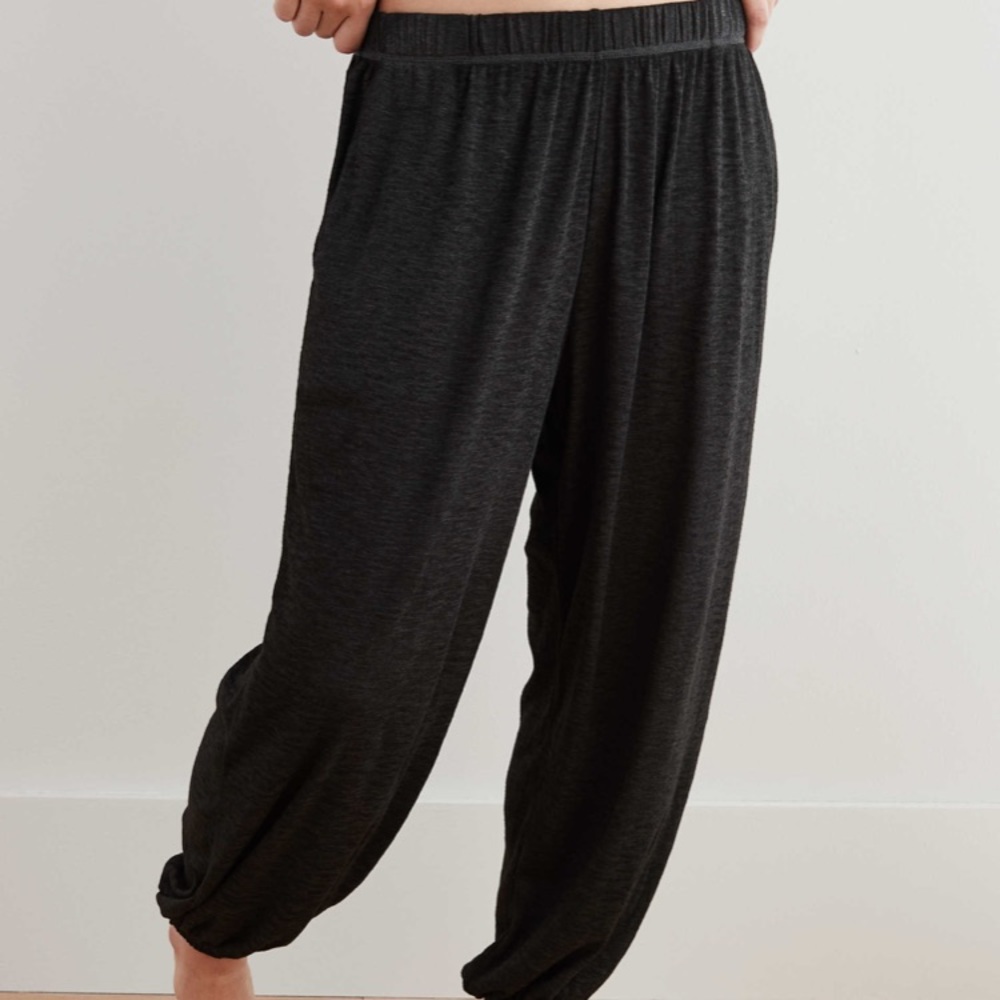 Aerie oversized nomad pants(joggers)